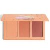 Sweet Cheeks Blush Trio-Private Cabana