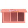 Sheglam Sweet Cheeks Blush Trio – Sunset Cruise